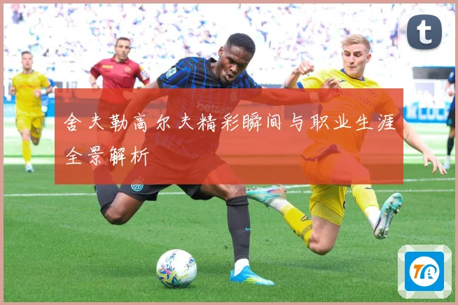 舍夫勒高尔夫精彩瞬间与职业生涯全景解析