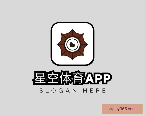 关于星空体育APP